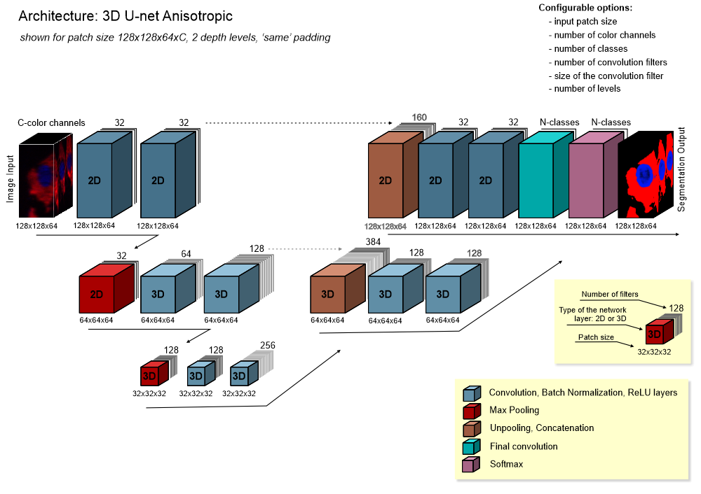 3D U-net anisotropic architecture
