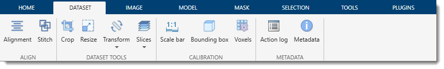 Dataset Ribbon Tab