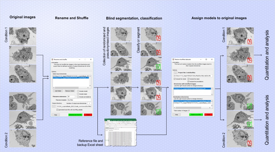 Image Shuffling Workflow