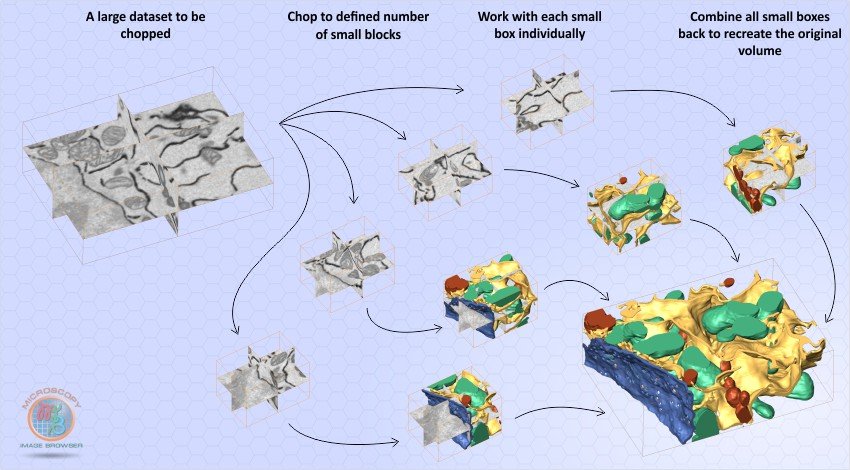Scheme of the chopped images workflow