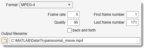 Make Movie Dialog, Options->File format settings