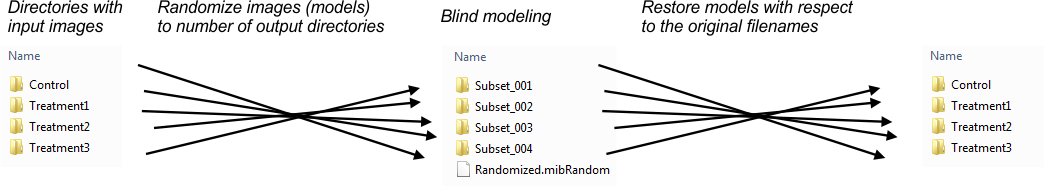 Image Shuffling workflow overview