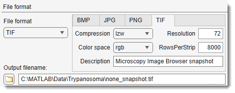 Make a Snapshot Dialog, File format settings