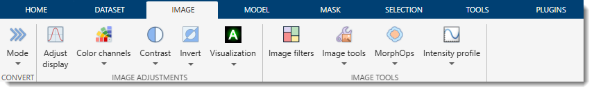 Image Ribbon Tab